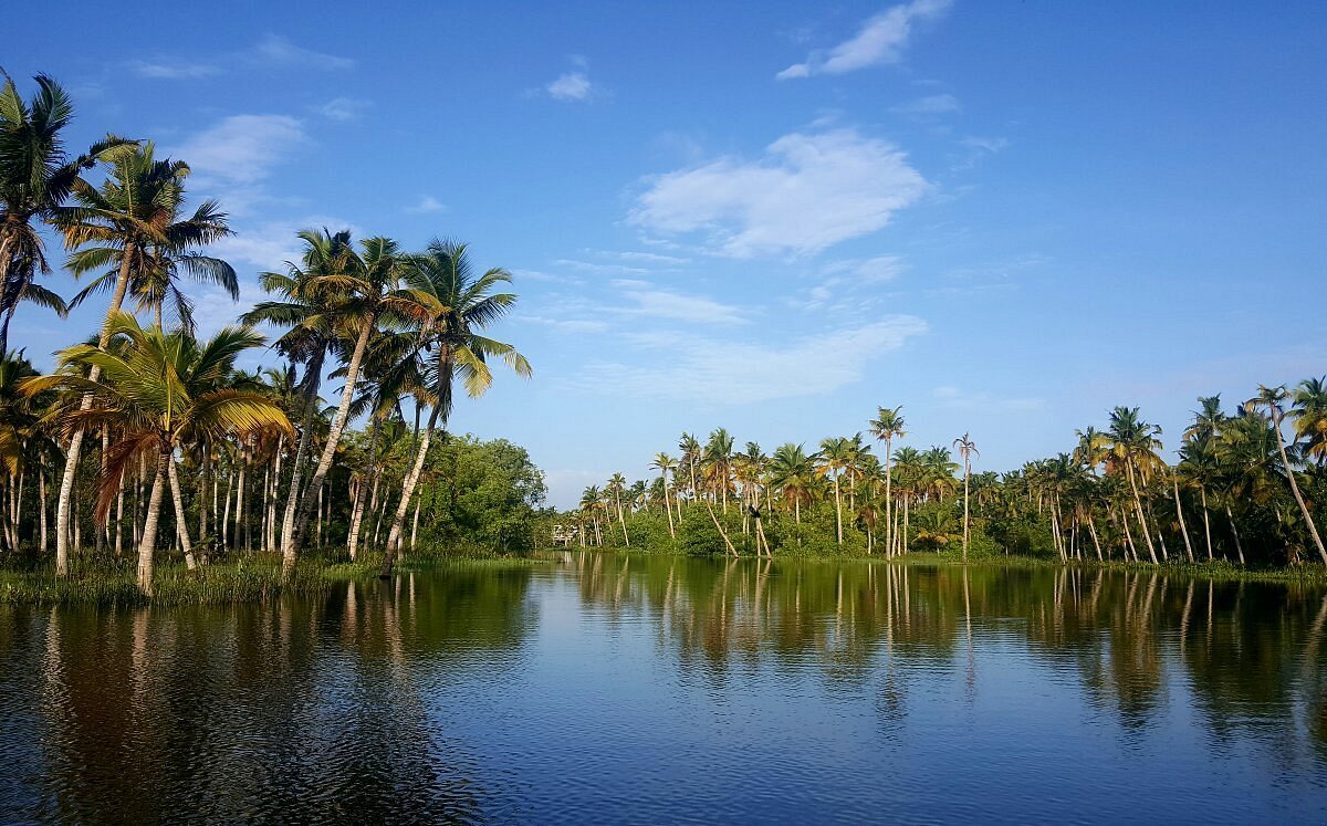 Poovar
