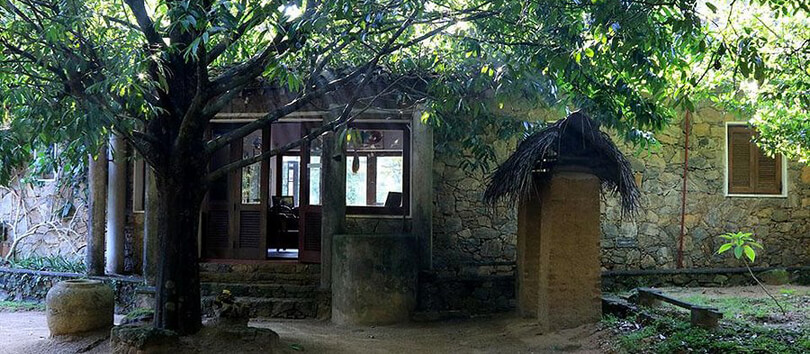 Popham’s Arboretum