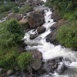 Power House Waterfalls in Idukki