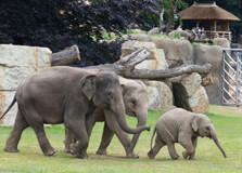 Prague Zoo