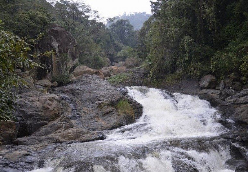 Puliyancholai Falls in Trichy