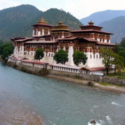 Punakha Dzong in Punakha