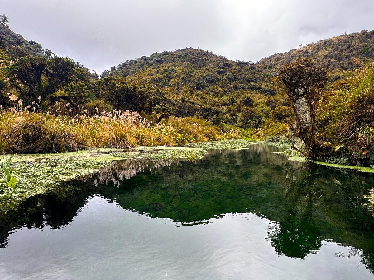 Purace National Park in Popayan