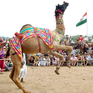 Pushkar (11 Kms from Ajmer)