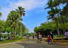 Putrajaya Botanical Garden in Putrajaya