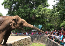 Ragunan Zoo in Jakarta