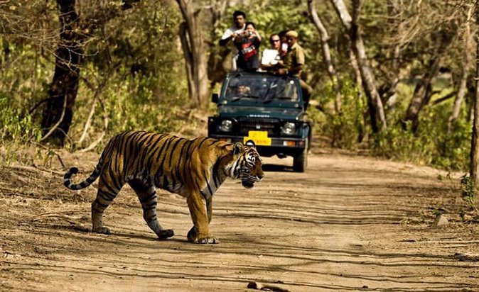 Rajaji National Park in Rishikesh