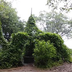 Rajmachi Wildlife Sanctuary in Lonavala