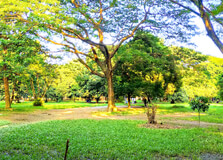Ramna Park in Dhaka
