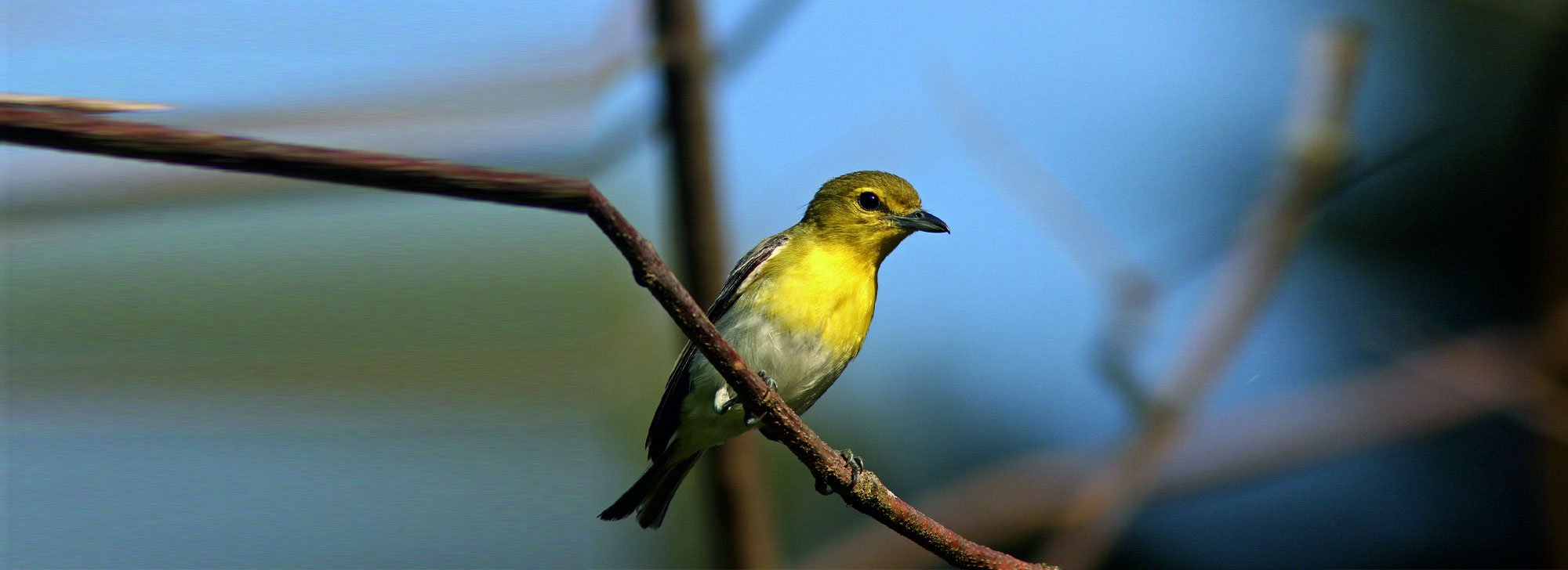 Rampara Wildlife Sanctuary in Wankaner