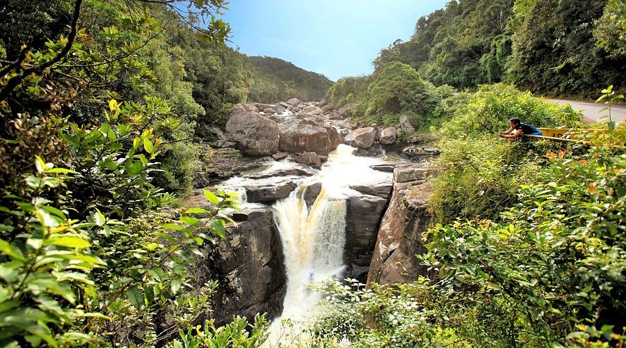 Ranomafana National Park in Ranomafana