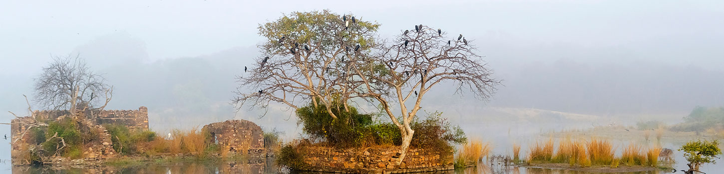 Ranthambore Wildlife Sanctuary