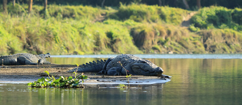 Rapti River