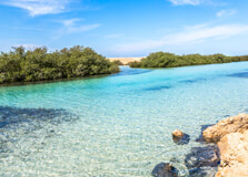 Ras Mohammed National Park in Sharm el-Sheikh