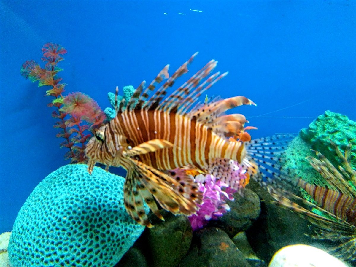Ratnagiri Marine Aquarium