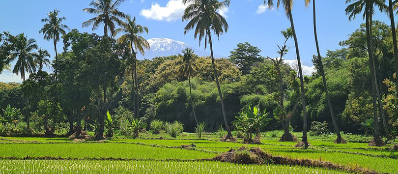 Rau Forest Reserve