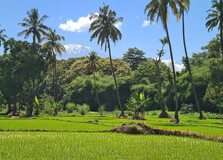 Rau Forest Reserve in Moshi