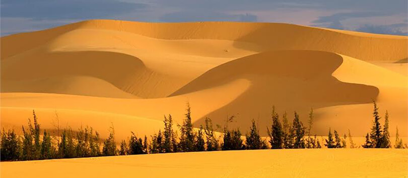 Red Sand Dunes