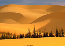 Red Sand Dunes in Phan Thiet