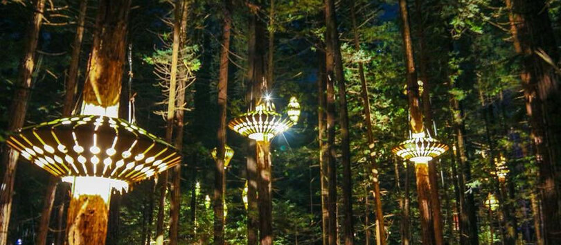 Redwood Treewalk