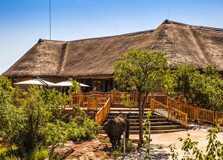 Rhino Museum in Vaalwater