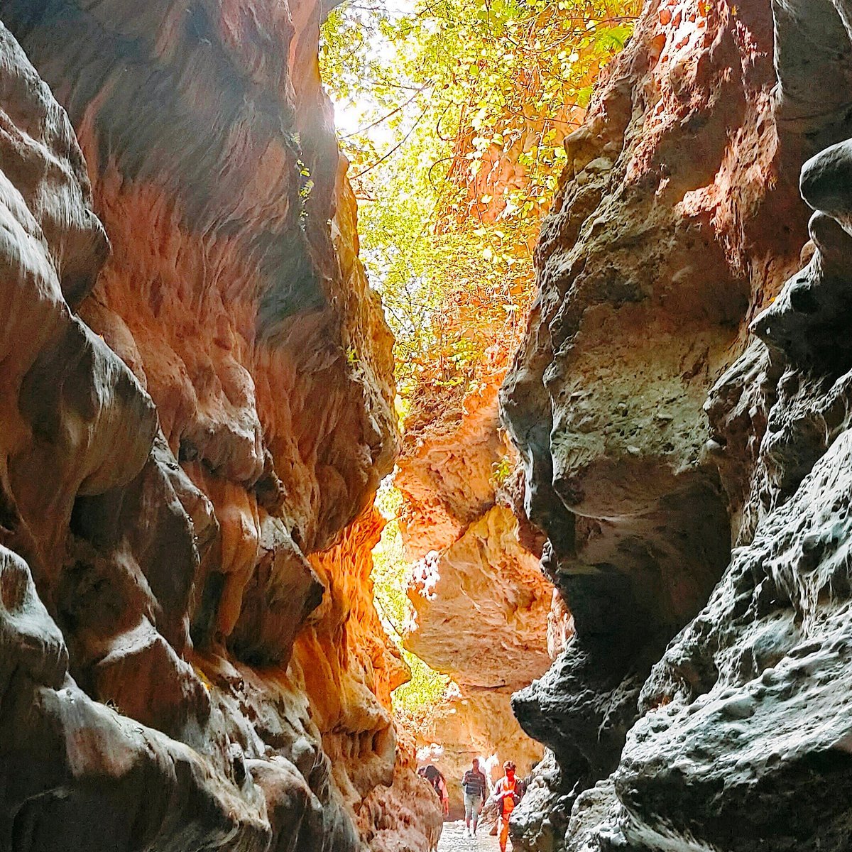 Robber's Cave in Dehradun