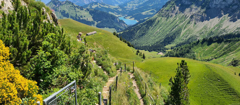 Rochers-de-Naye