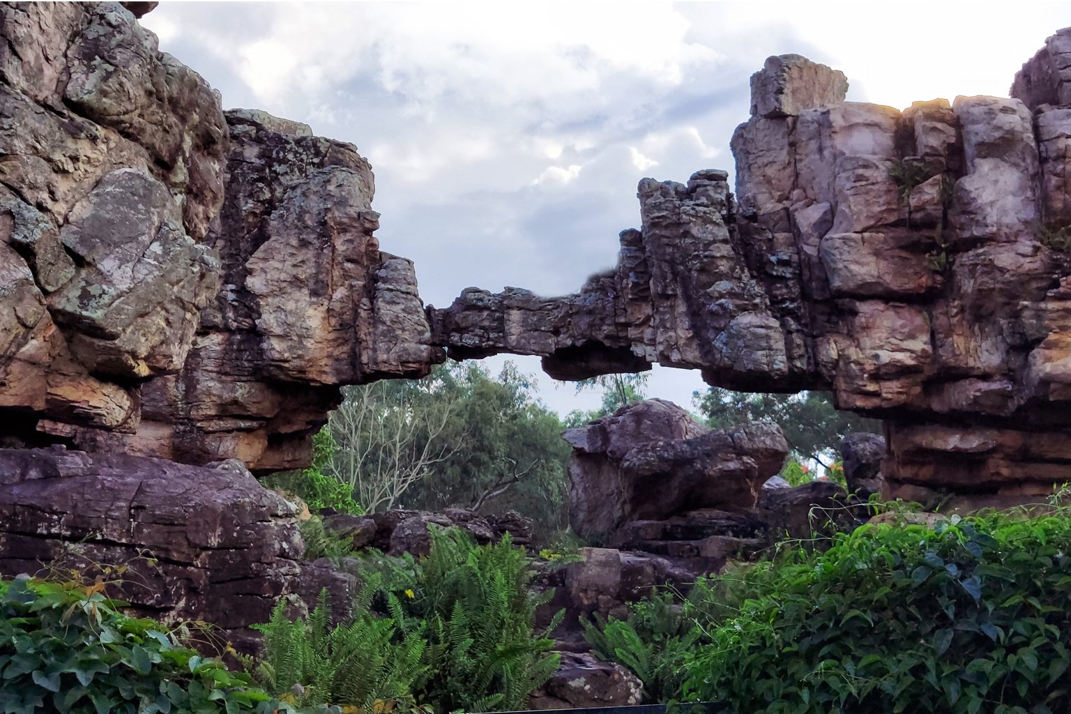 Rock Garden