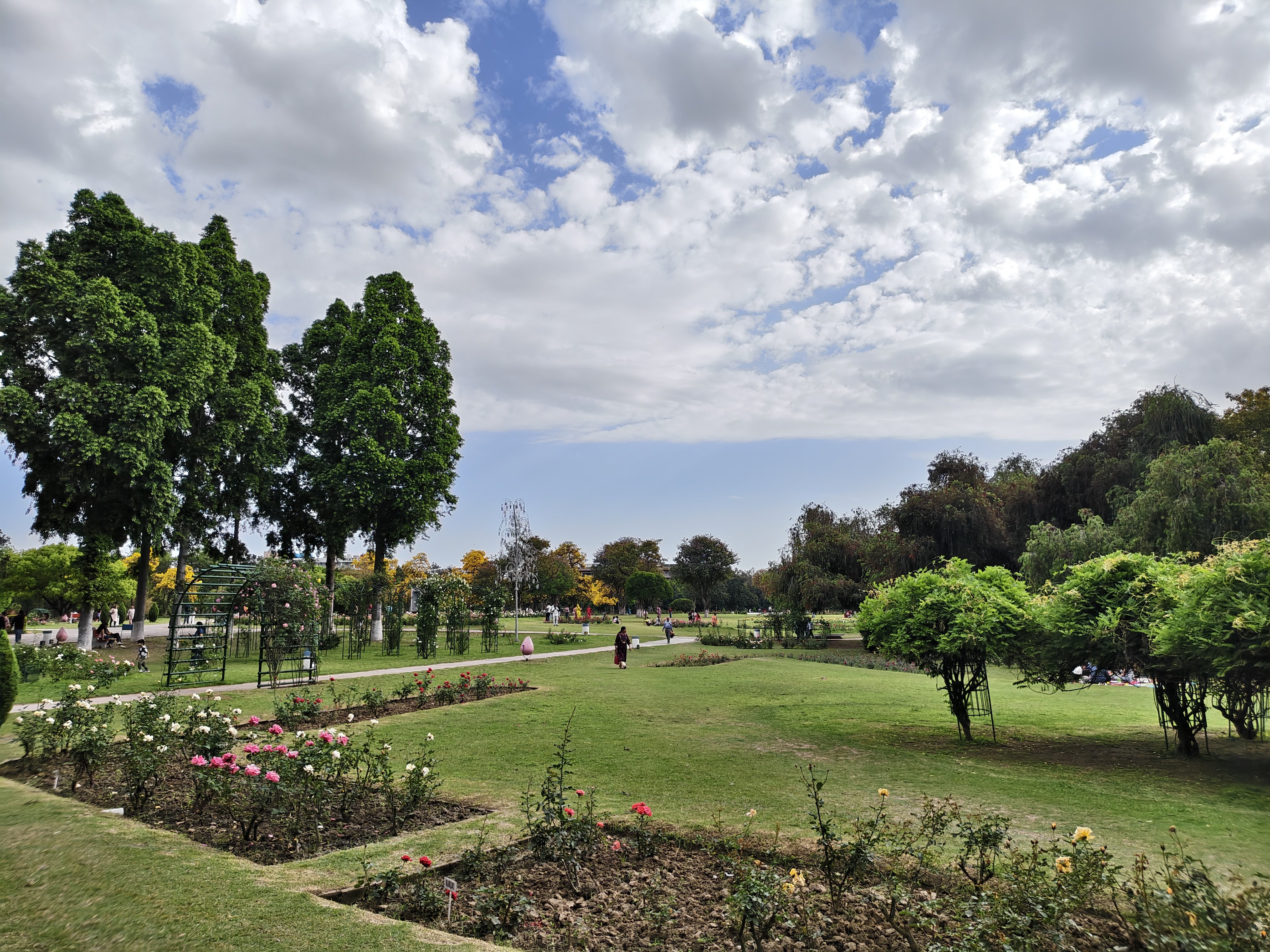 Rose Garden in Chandigarh City
