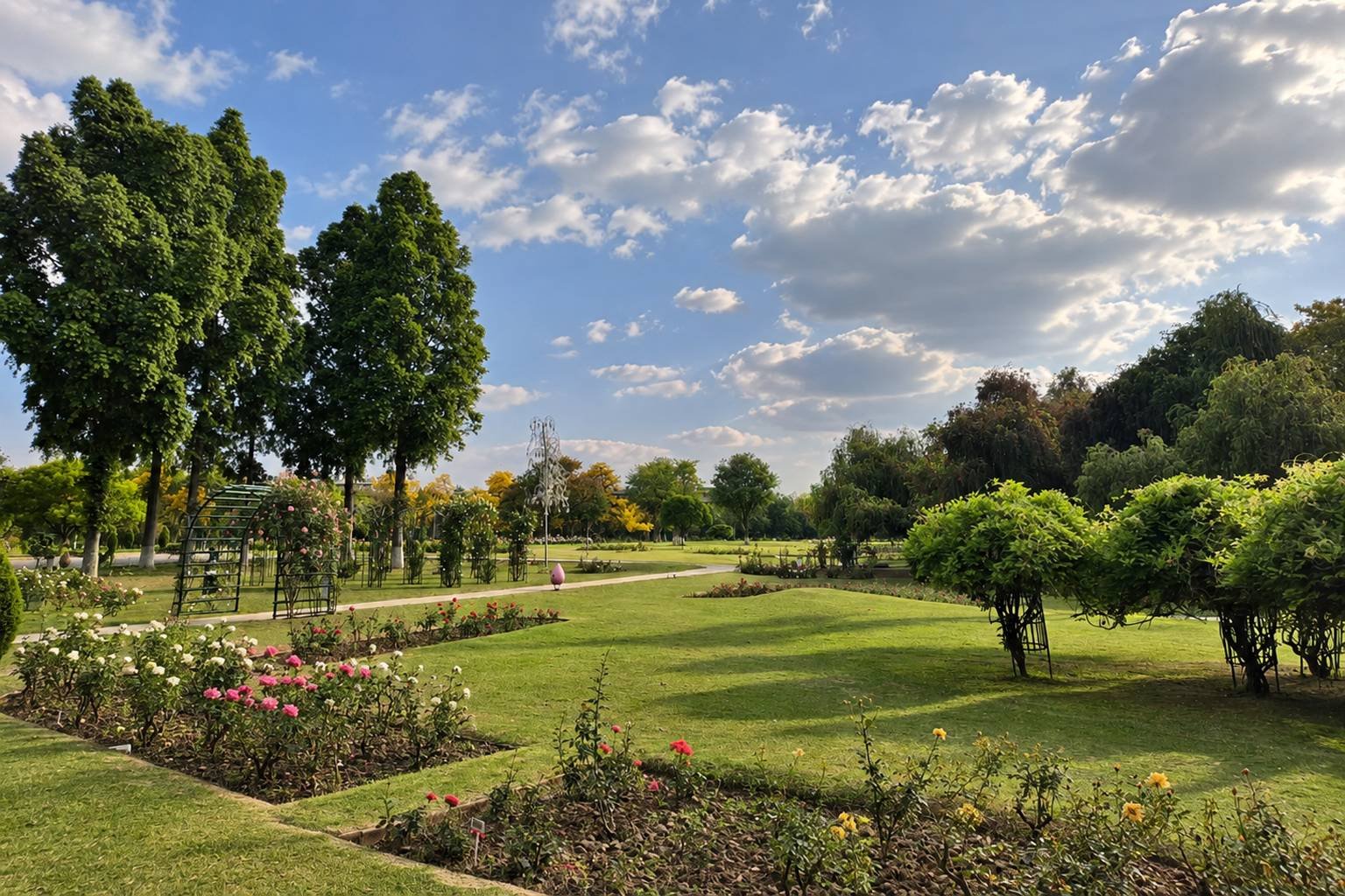 Rose Garden in Chandigarh City