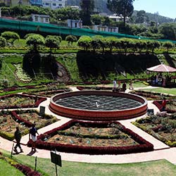 Rose Garden Ooty in Ooty