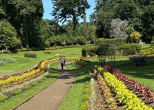 Royal Botanical Gardens in Pinnawala