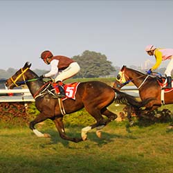 Royal Calcutta Turf Club in Kolkata