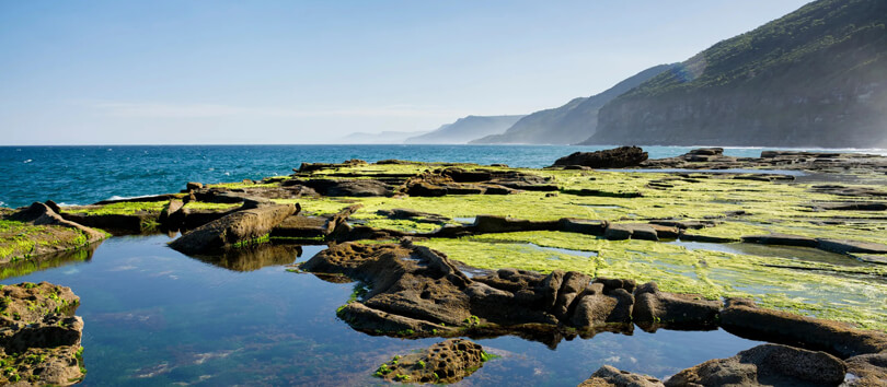 Royal National Park