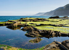 Royal National Park in Sydney