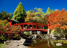 Royal Tasmanian Botanical Gardens in Hobart