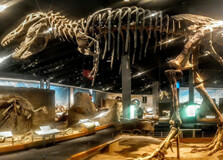 Royal Tyrrell Museum in Alberta