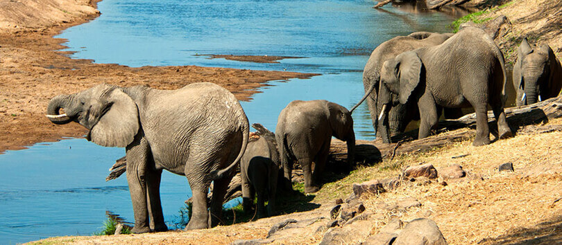Ruaha National Park