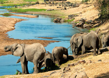Ruaha National Park in Iringa