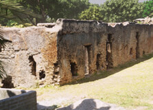 Ruins of Mtoni in Iringa