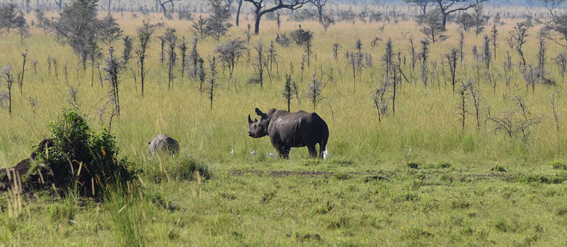 Ruma National Park