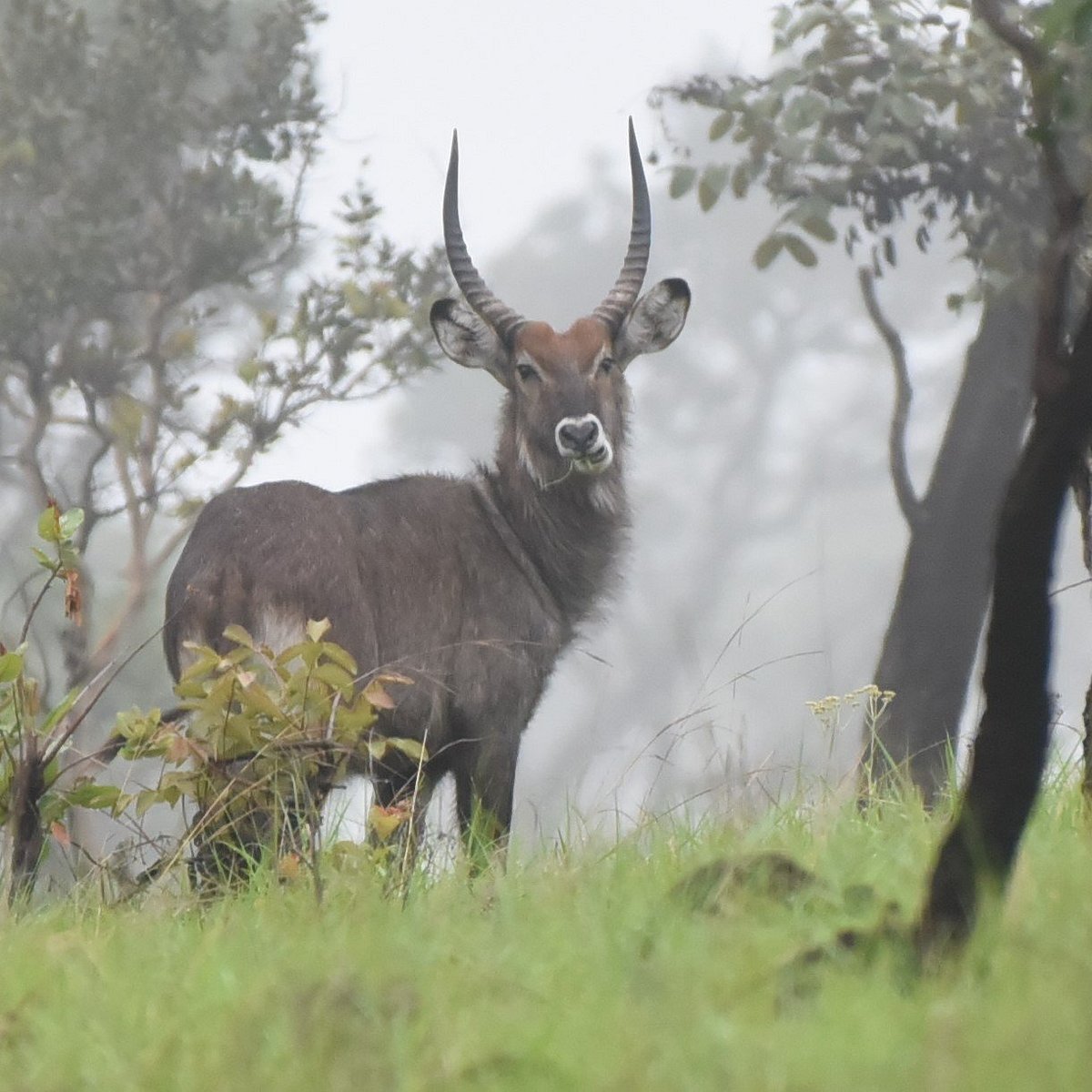 Best Places to Visit in Burundi