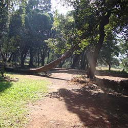 Ryewood Park in Lonavala