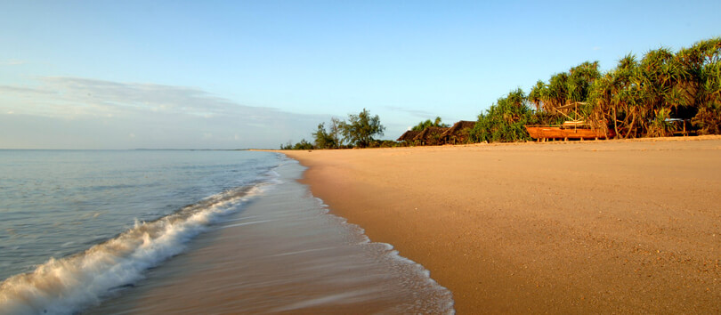 Saadani National Park