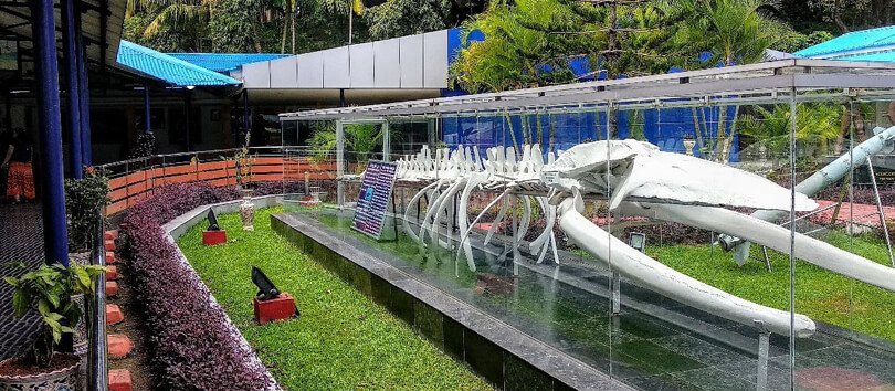 Samudrika Naval Marine Museum in Andaman & Nicobar Islands