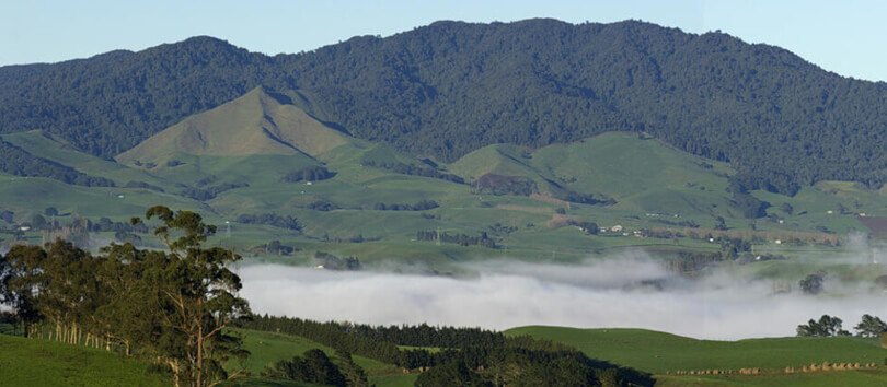 Sanctuary Mountain Maungatautari