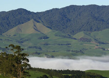 Sanctuary Mountain Maungatautari in Hamilton