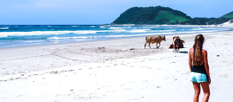 Sandy Bay Beach