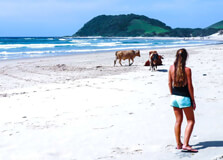 Sandy Bay Beach in Western Cape