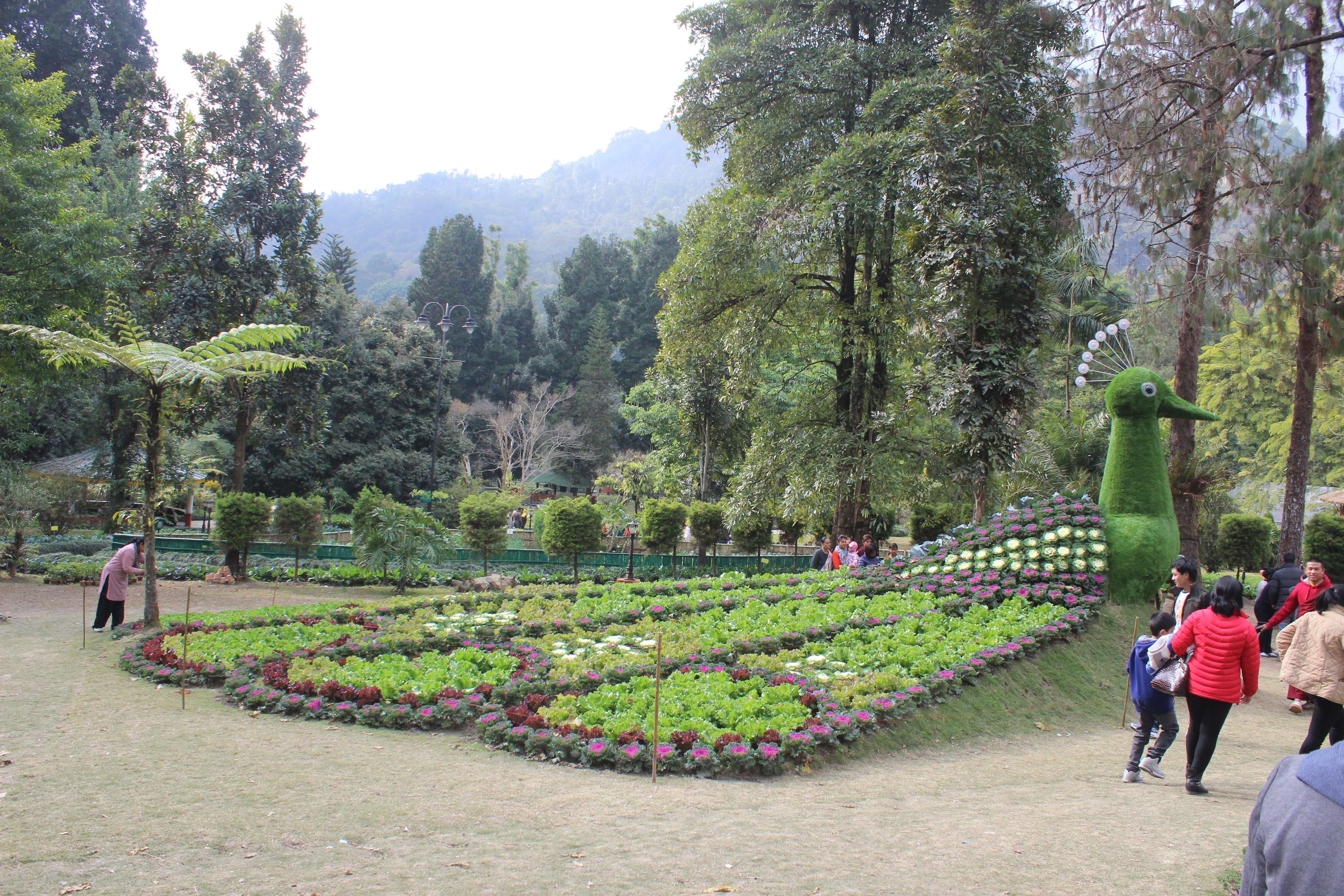 Saramsa Garden